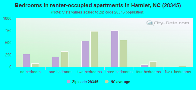 Bedrooms in renter-occupied apartments in Hamlet, NC (28345) 