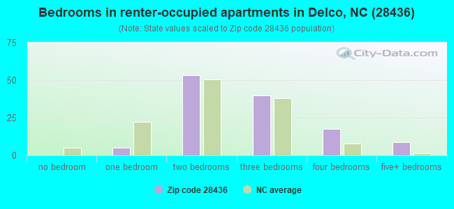 Bedrooms in renter-occupied apartments in Delco, NC (28436) 