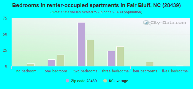 Bedrooms in renter-occupied apartments in Fair Bluff, NC (28439) 