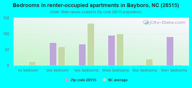 Bedrooms in renter-occupied apartments in Bayboro, NC (28515) 