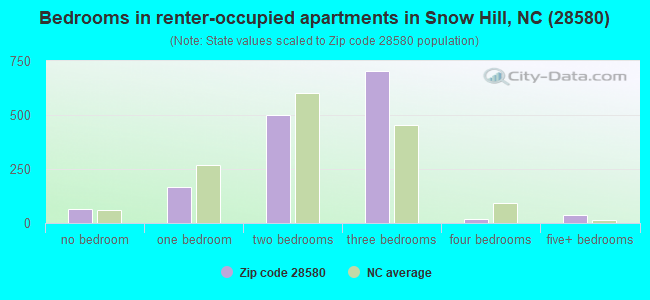 Bedrooms in renter-occupied apartments in Snow Hill, NC (28580) 