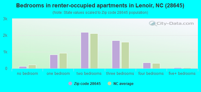Bedrooms in renter-occupied apartments in Lenoir, NC (28645) 