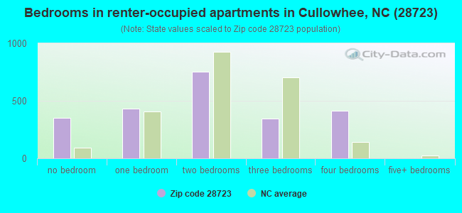 Bedrooms in renter-occupied apartments in Cullowhee, NC (28723) 