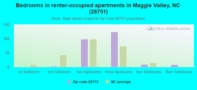 Bedrooms in renter-occupied apartments in Maggie Valley, NC (28751) 