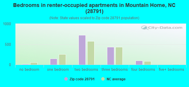 Bedrooms in renter-occupied apartments in Mountain Home, NC (28791) 