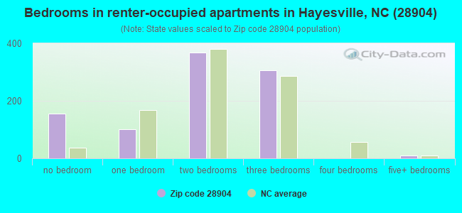 Bedrooms in renter-occupied apartments in Hayesville, NC (28904) 