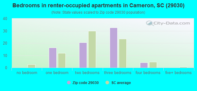 Bedrooms in renter-occupied apartments in Cameron, SC (29030) 