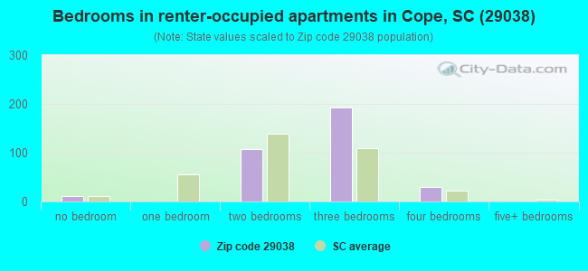 Bedrooms in renter-occupied apartments in Cope, SC (29038) 