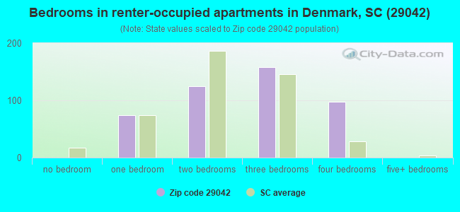 Bedrooms in renter-occupied apartments in Denmark, SC (29042) 