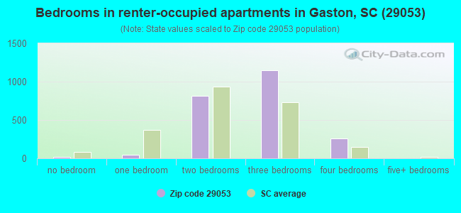 Bedrooms in renter-occupied apartments in Gaston, SC (29053) 