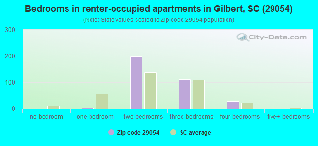 Bedrooms in renter-occupied apartments in Gilbert, SC (29054) 