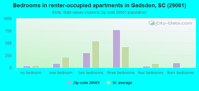 Bedrooms in renter-occupied apartments in Gadsden, SC (29061) 