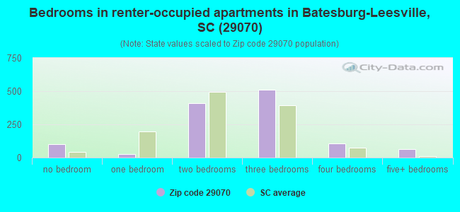 Bedrooms in renter-occupied apartments in Batesburg-Leesville, SC (29070) 