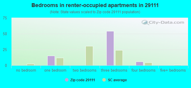 Bedrooms in renter-occupied apartments in 29111 