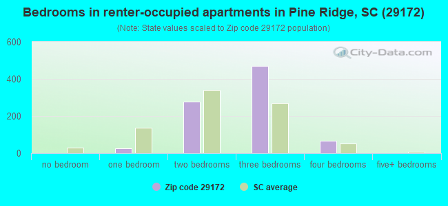 Bedrooms in renter-occupied apartments in Pine Ridge, SC (29172) 