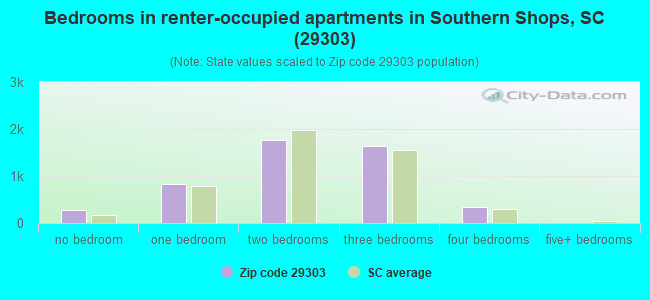 Bedrooms in renter-occupied apartments in Southern Shops, SC (29303) 