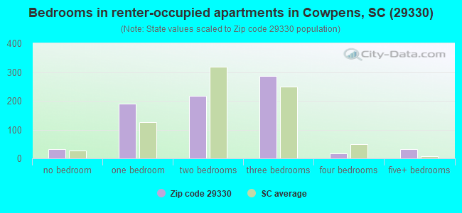 Bedrooms in renter-occupied apartments in Cowpens, SC (29330) 