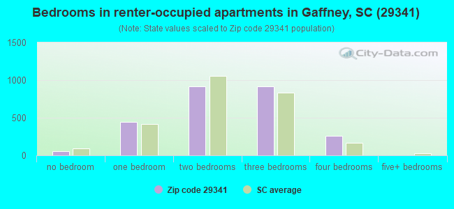 Bedrooms in renter-occupied apartments in Gaffney, SC (29341) 