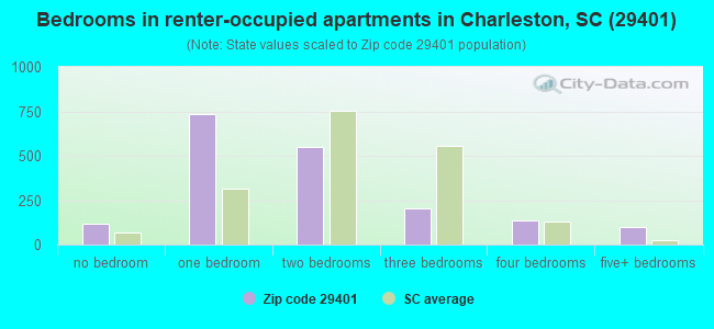 Bedrooms in renter-occupied apartments in Charleston, SC (29401) 