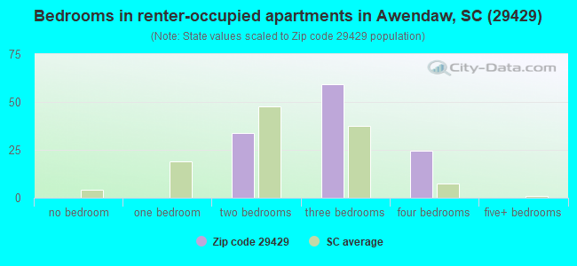 Bedrooms in renter-occupied apartments in Awendaw, SC (29429) 