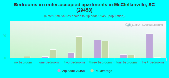 Bedrooms in renter-occupied apartments in McClellanville, SC (29458) 