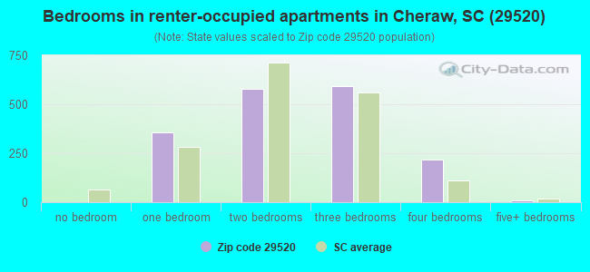 Bedrooms in renter-occupied apartments in Cheraw, SC (29520) 
