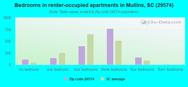 Bedrooms in renter-occupied apartments in Mullins, SC (29574) 