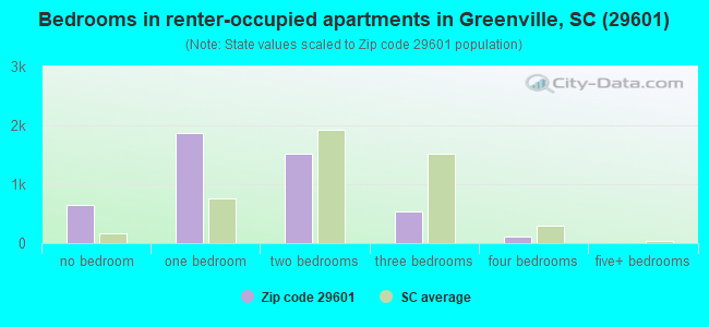 Bedrooms in renter-occupied apartments in Greenville, SC (29601) 