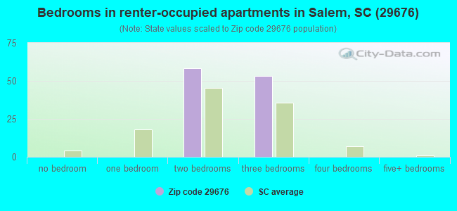 Bedrooms in renter-occupied apartments in Salem, SC (29676) 
