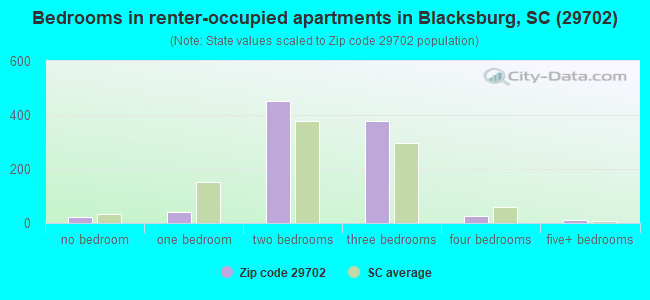 Bedrooms in renter-occupied apartments in Blacksburg, SC (29702) 
