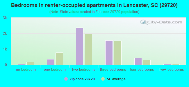 Bedrooms in renter-occupied apartments in Lancaster, SC (29720) 