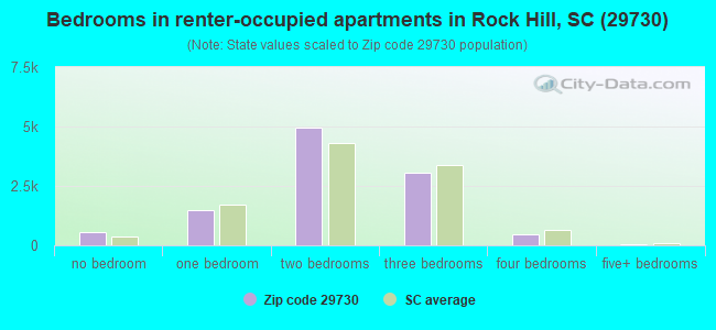 Bedrooms in renter-occupied apartments in Rock Hill, SC (29730) 