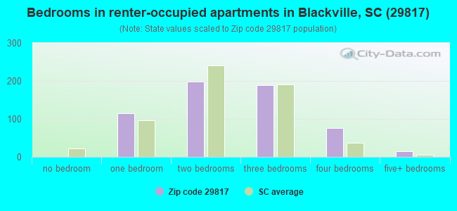 Bedrooms in renter-occupied apartments in Blackville, SC (29817) 