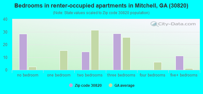 Bedrooms in renter-occupied apartments in Mitchell, GA (30820) 