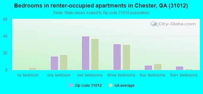 Bedrooms in renter-occupied apartments in Chester, GA (31012) 