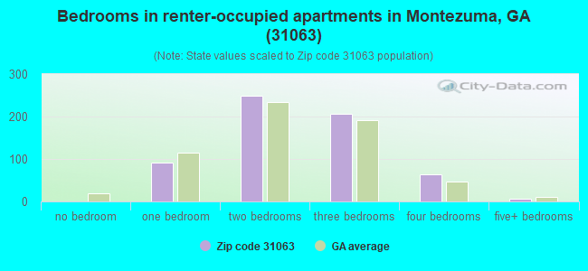 Bedrooms in renter-occupied apartments in Montezuma, GA (31063) 
