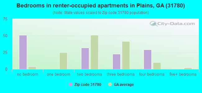 Bedrooms in renter-occupied apartments in Plains, GA (31780) 