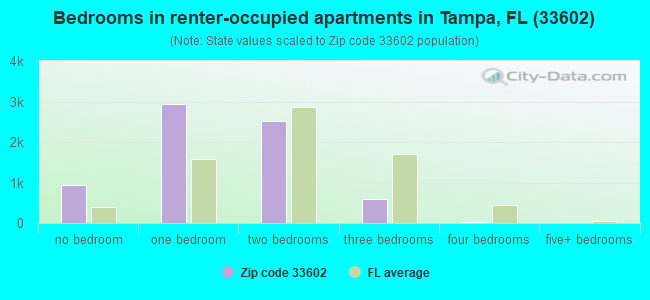 Bedrooms in renter-occupied apartments in Tampa, FL (33602) 