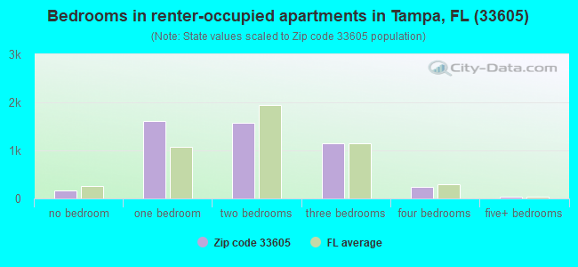 Bedrooms in renter-occupied apartments in Tampa, FL (33605) 