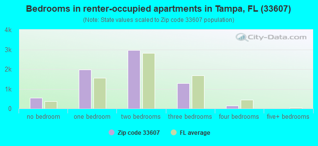 Bedrooms in renter-occupied apartments in Tampa, FL (33607) 