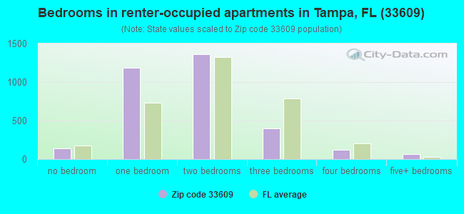 Bedrooms in renter-occupied apartments in Tampa, FL (33609) 