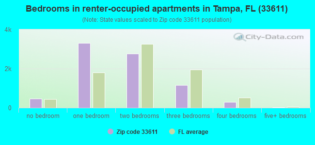 Bedrooms in renter-occupied apartments in Tampa, FL (33611) 