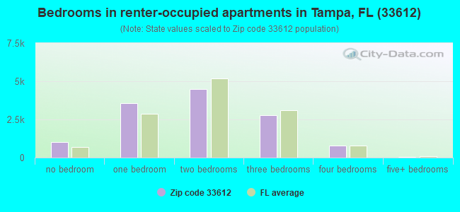 Bedrooms in renter-occupied apartments in Tampa, FL (33612) 