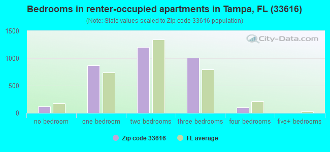 Bedrooms in renter-occupied apartments in Tampa, FL (33616) 