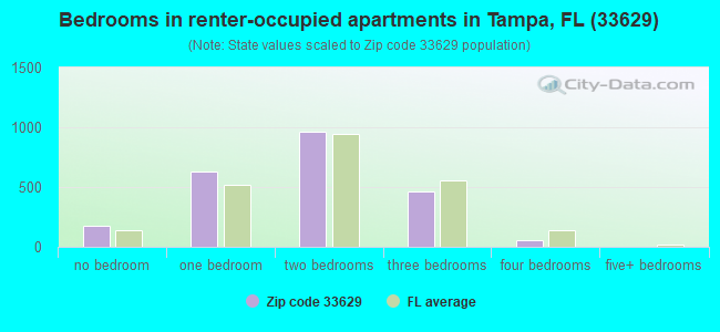 Bedrooms in renter-occupied apartments in Tampa, FL (33629) 
