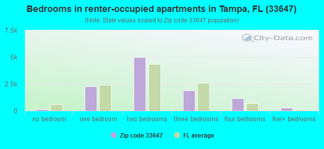 Bedrooms in renter-occupied apartments in Tampa, FL (33647) 