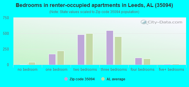 Bedrooms in renter-occupied apartments in Leeds, AL (35094) 
