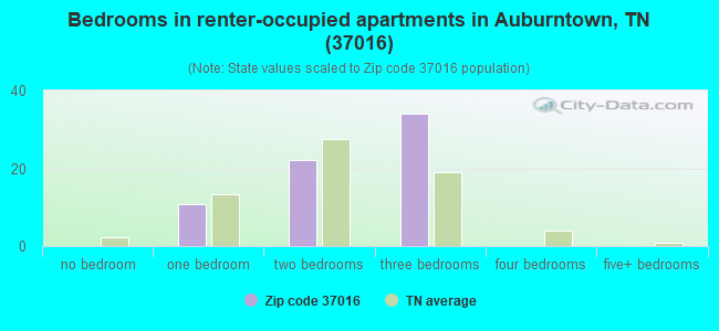 Bedrooms in renter-occupied apartments in Auburntown, TN (37016) 