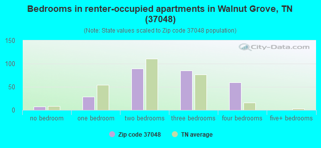 Bedrooms in renter-occupied apartments in Walnut Grove, TN (37048) 