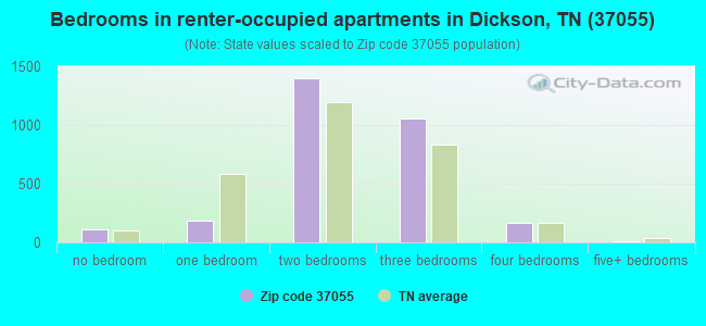 Bedrooms in renter-occupied apartments in Dickson, TN (37055) 